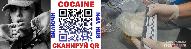 Купить  Гаджиево  Cocaine VHQ 