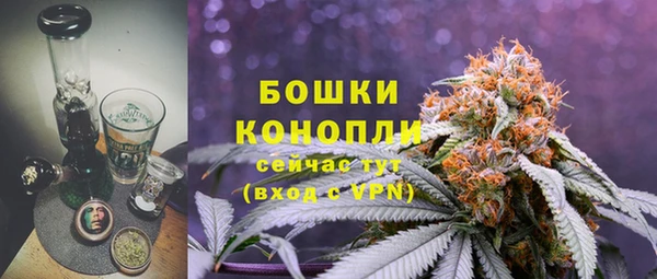 стафф Краснослободск