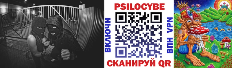 Галлюциногенные грибы прущие грибы  Купить закладки  Гаджиево 